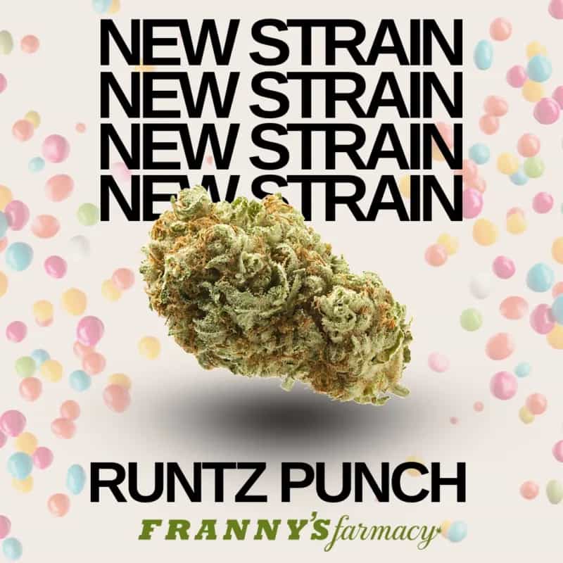 Runtz Punch (Indica  22.3%)
