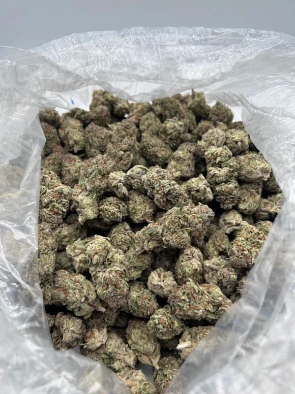 Green Slime THCa Flower – Premium Sativa (30.62%) image 4