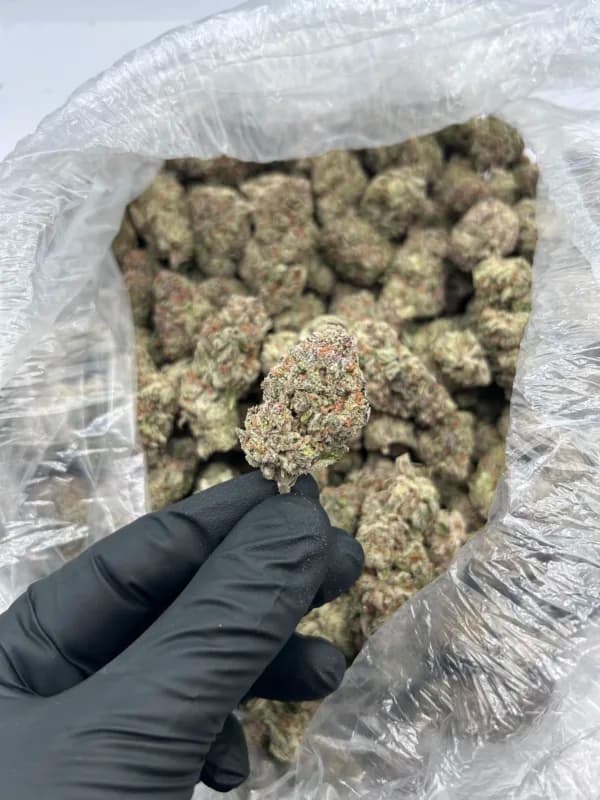Green Slime THCa Flower – Premium Sativa (30.62%) image 3