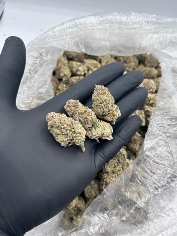 Green Slime THCa Flower – Premium Sativa (30.62%) image 2