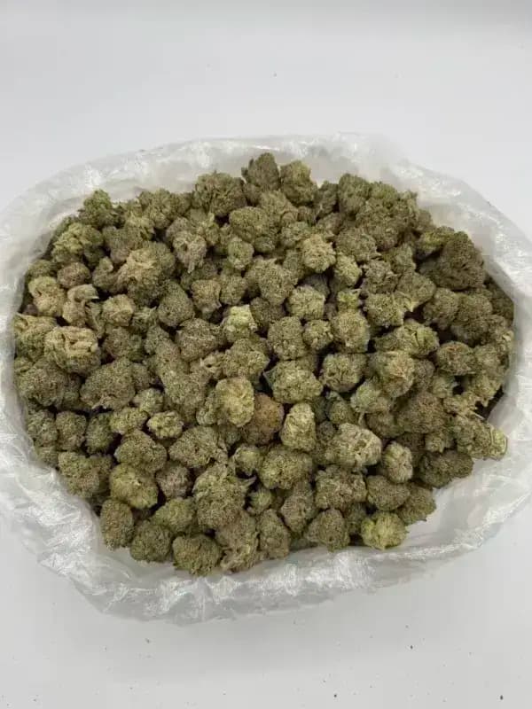 Ice Cream Cake THCa Flower  Indica-Dominant Hybrid (28.04%) image 3