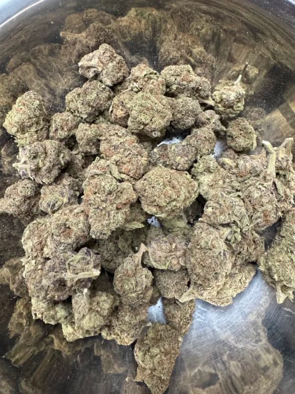 Purple Slime THCa Flower – Premium Indica (31.18%) image 4
