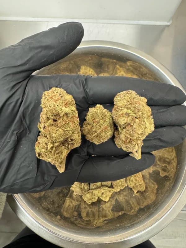 Purple Slime THCa Flower – Premium Indica (31.18%) image 5