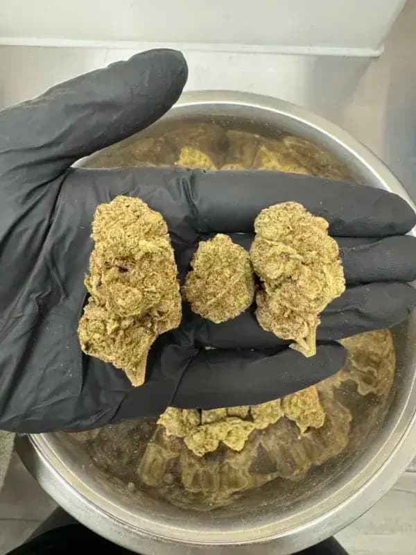 Purple Slime THCa Flower – Premium Indica (31.18%) image 5
