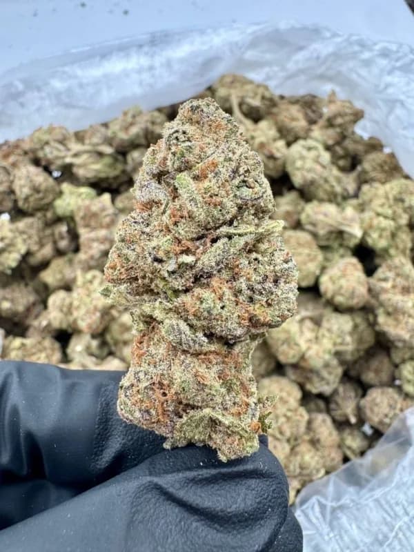 Purple Slime THCa Flower – Premium Indica (31.18%) image 3