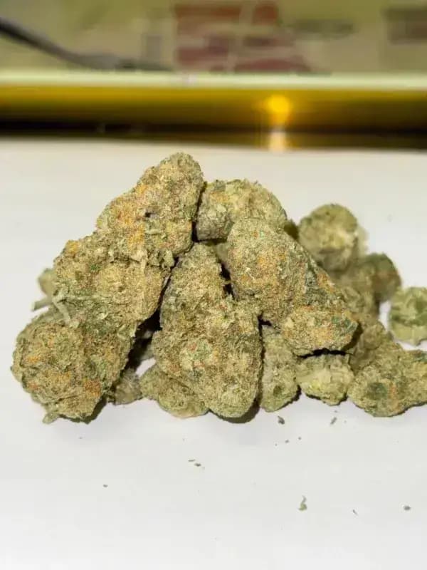 Lavender Jack THCa Flower – Premium Sativa (31.26%) image 3