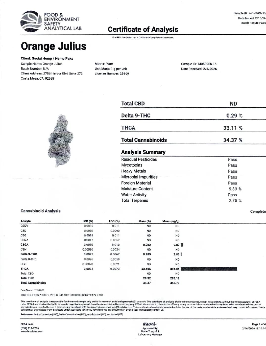 Orange Julius THCa Flower – Premium Sativa (33.1%) image 5