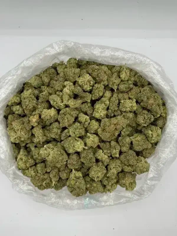 Orange Julius THCa Flower – Premium Sativa (33.1%) image 3