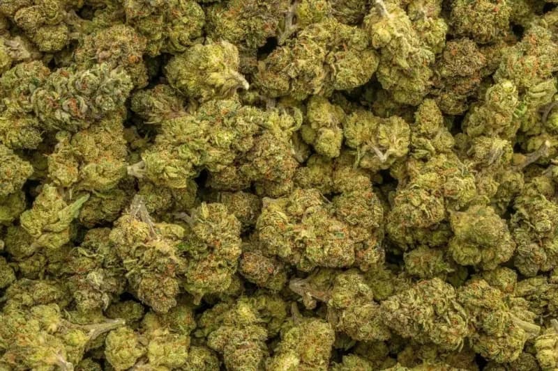 Runtz Punch (Indica  22.3%) image 2