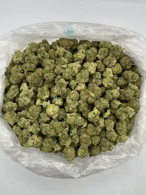 Sour Diesel THCa Flower – Classic Sativa (31.44%) image 3