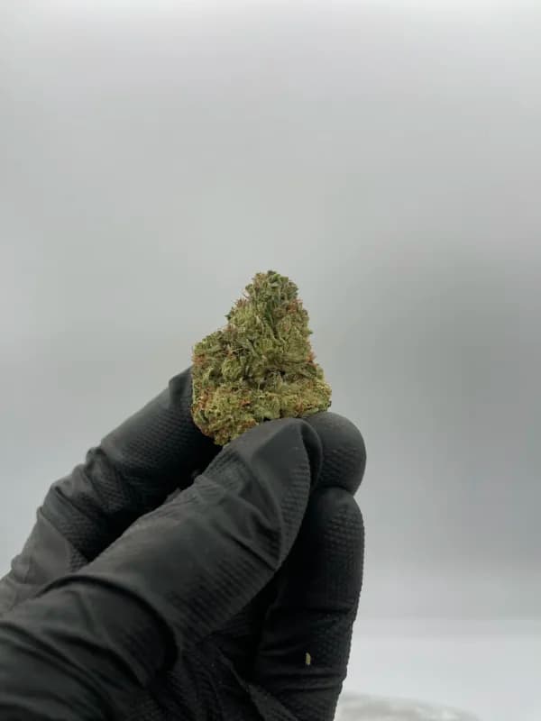 Sour Diesel THCa Flower – Classic Sativa (31.44%) image 2