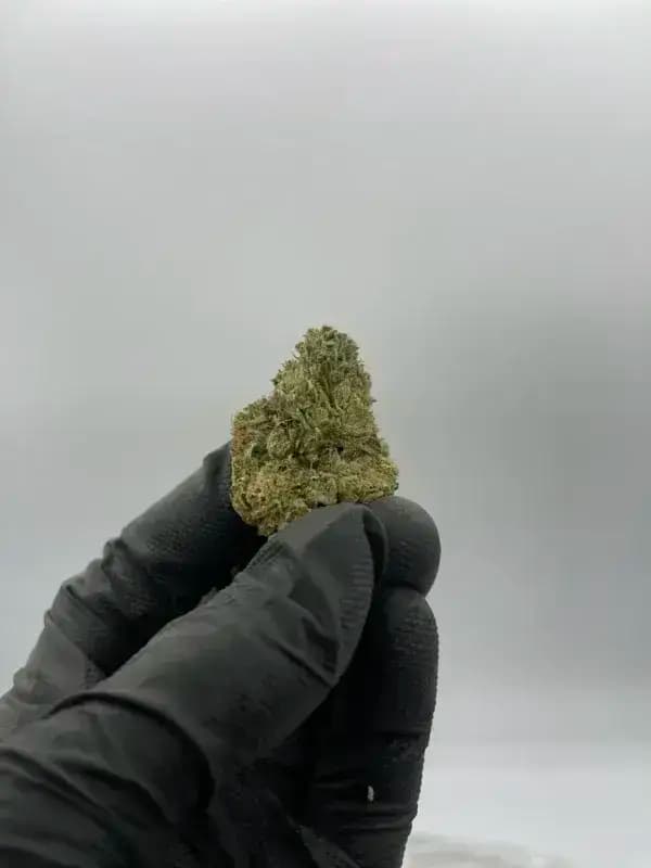 Sour Diesel THCa Flower – Classic Sativa (31.44%) image 2