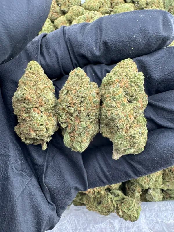 🌕 Full Oz Energy: 15% Off THCa Ounces Every Full Moon