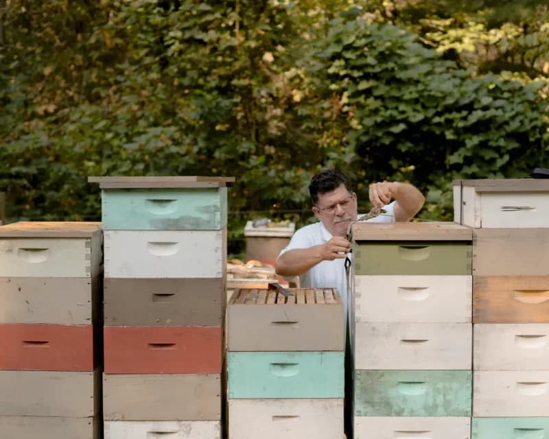 🍯🌿 A Sweet Ritual: Celebrating Tea, Bees & the Botanical Division at Franny’s Farmacy