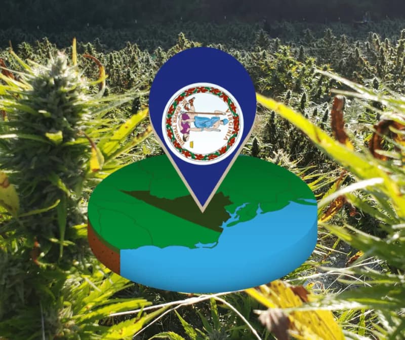 Act Now: Protect Your Full-Spectrum Hemp Experience in Virginia!