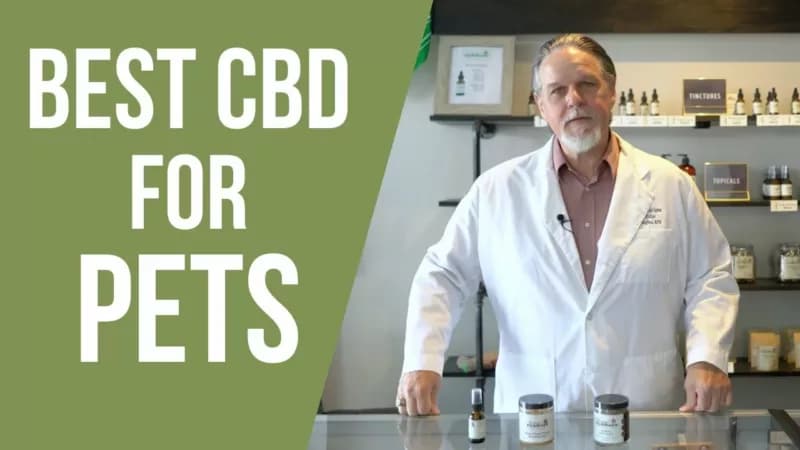 Best CBD for Pets
