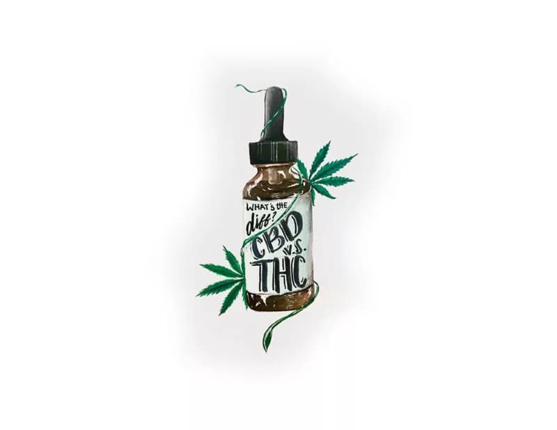 The Difference Between CBD and THC All You Need to Know and More