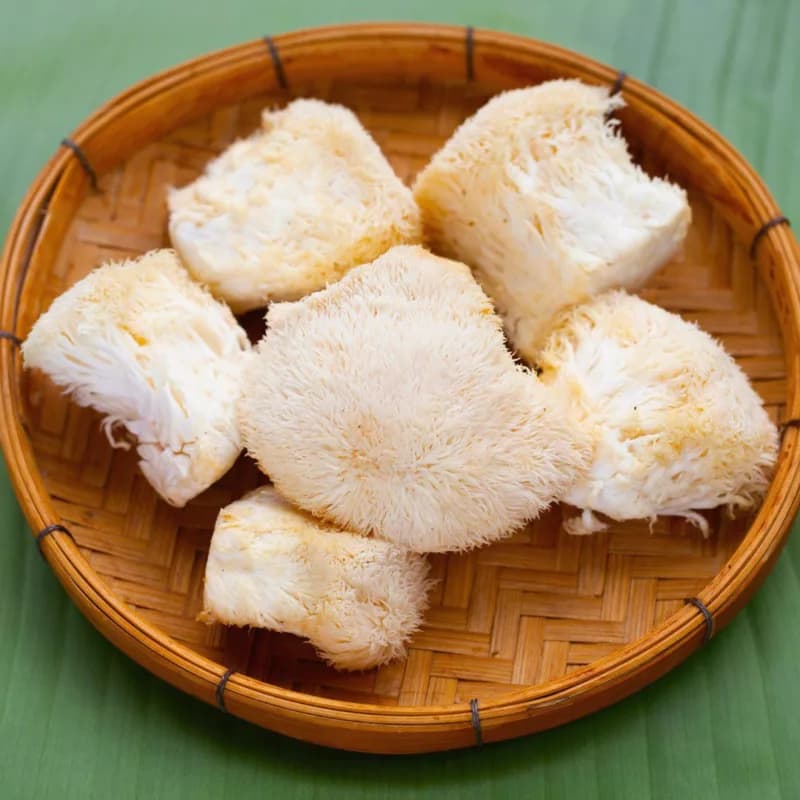 Why Lion’s Mane is a Superfood: Top 3 Health Benefits