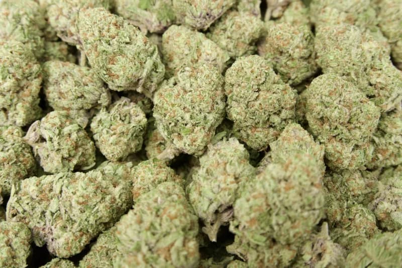 🚚 Now Shipping Nationwide: Shop Premium THCa Flower Online at Franny’s Farmacy