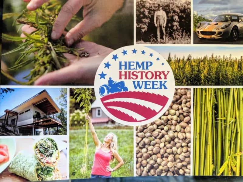 Hemp Hootenanny