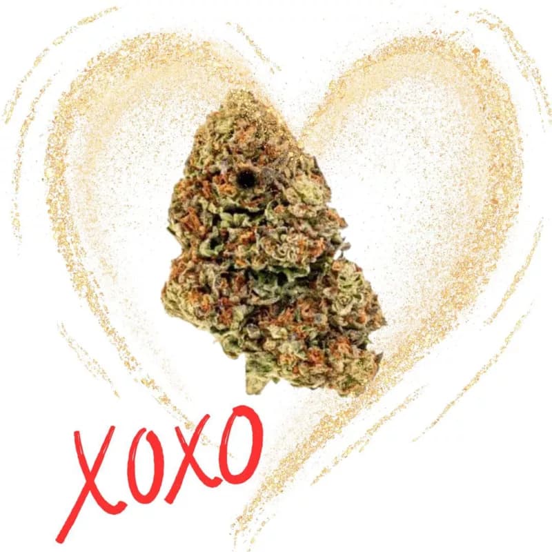 The Kind of Flowers your Valentine REALLY Wants: Franny's Wellness Valentine's Gift Ideas