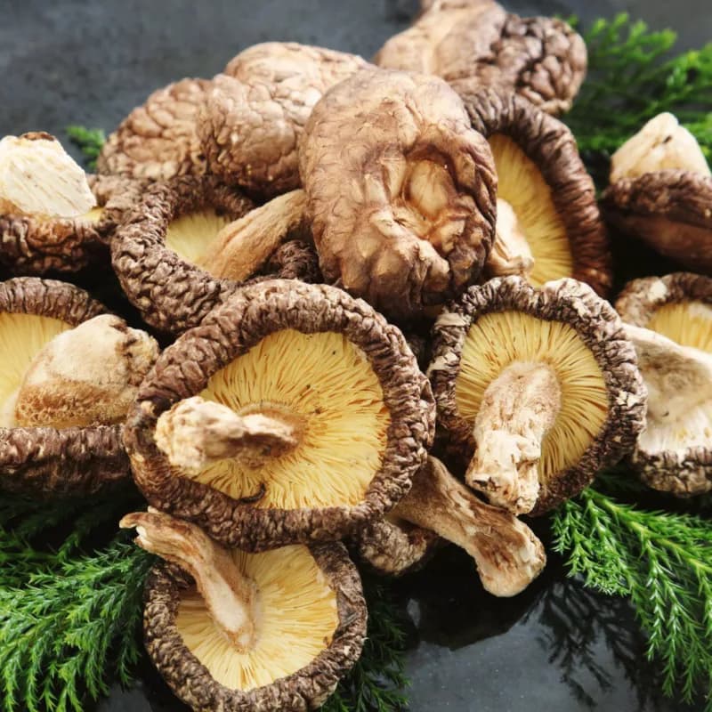 Boost White Blood Cell Production Naturally with Shiitake: Franny’s Vegan Multi-Mushroom Extract