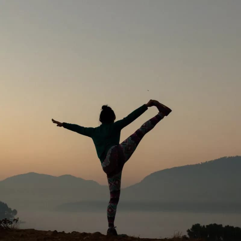 Beyond CBD: Exploring Franny's Diverse Range of Wellness Products