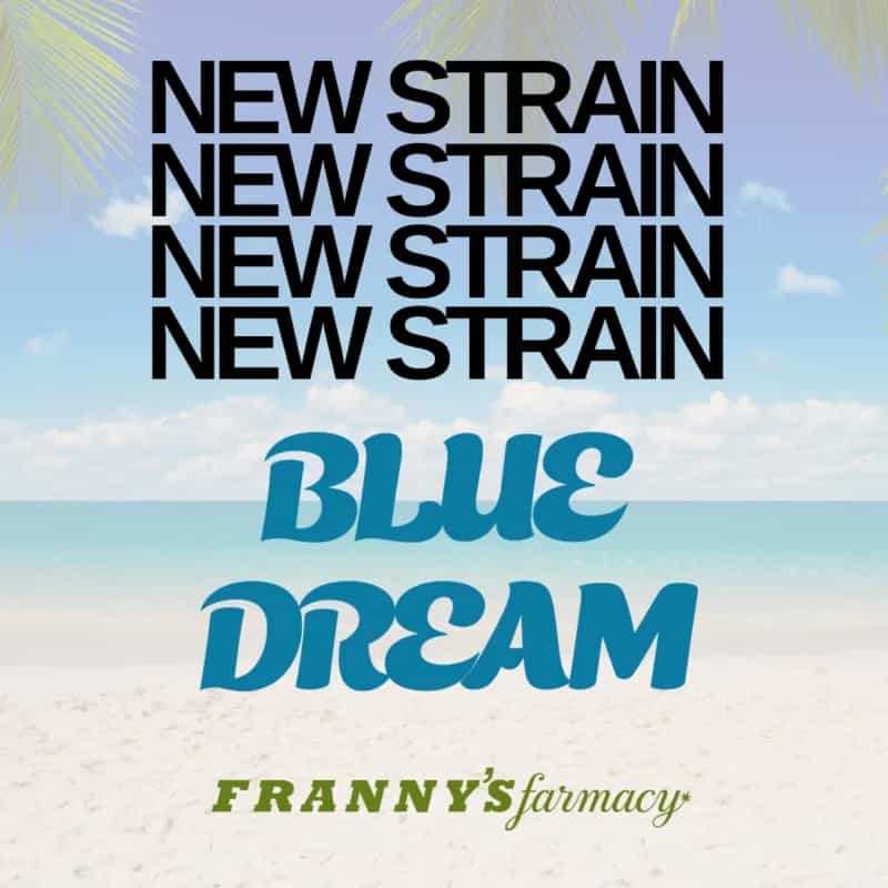 Blue Dream THCa Flower – Premium Indica (30.29%)