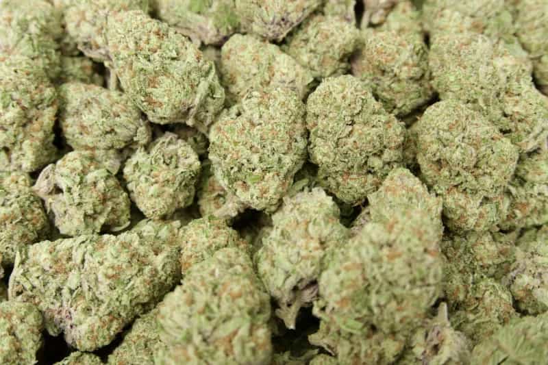 Orange Creamsicle (Sativa 26.7%)