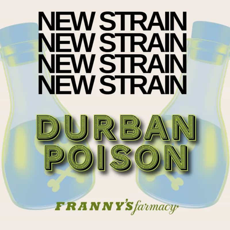 Durban Poison THCa Flower – Classic Sativa (28%)