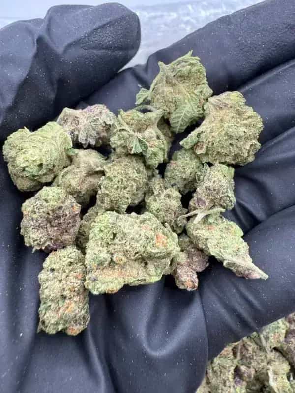 24 Karat THCa Flower – Premium Indica (30.05%)