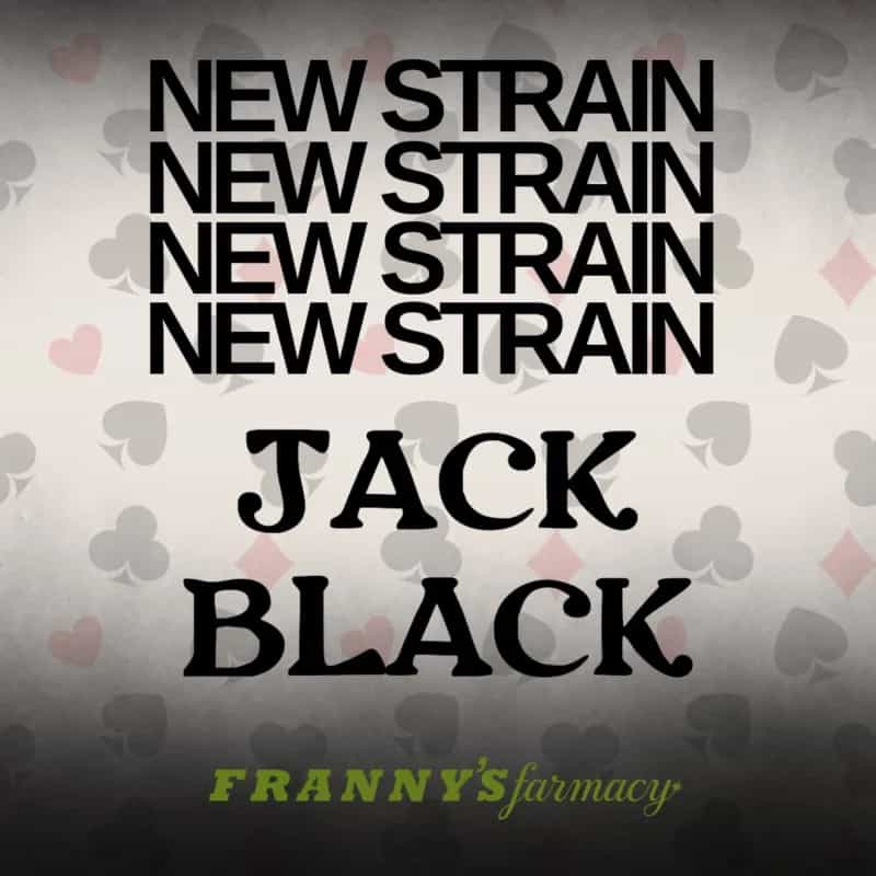 Jack Black THCa Flower – Premium Indica (30.47%)