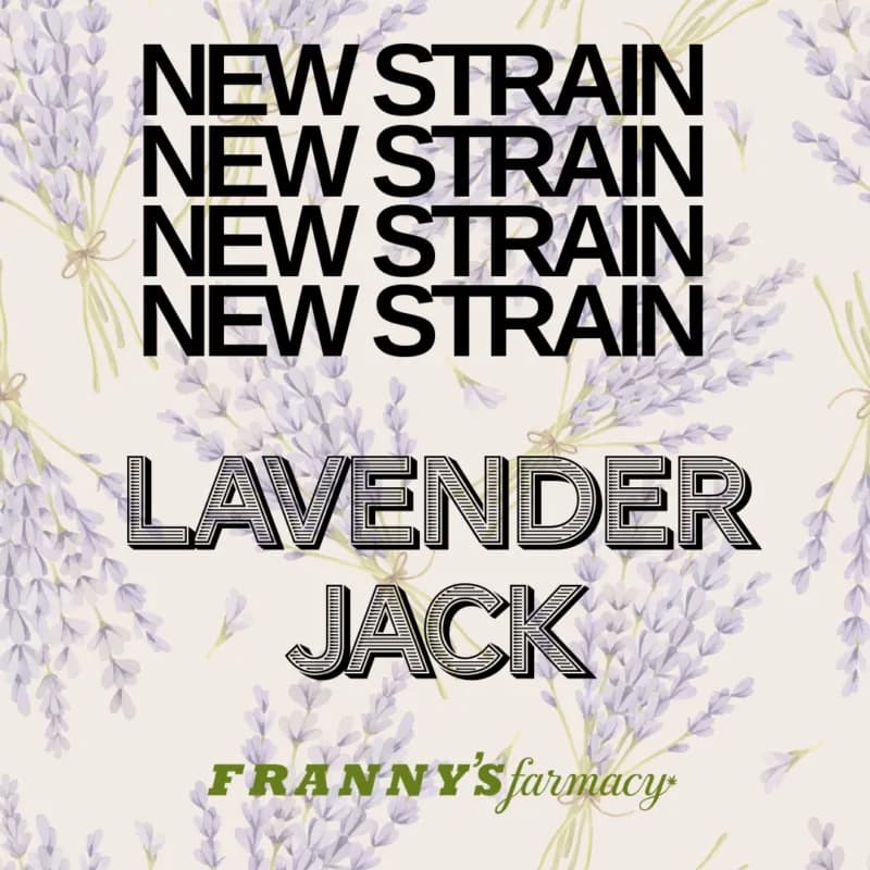 Flor de THCa Lavender Jack – Sativa Premium (31.26%)