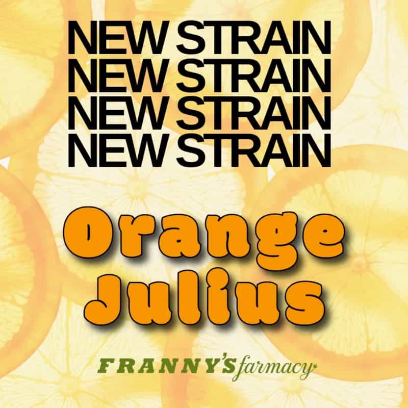 Orange Julius THCa Flower – Premium Sativa (33.1%)