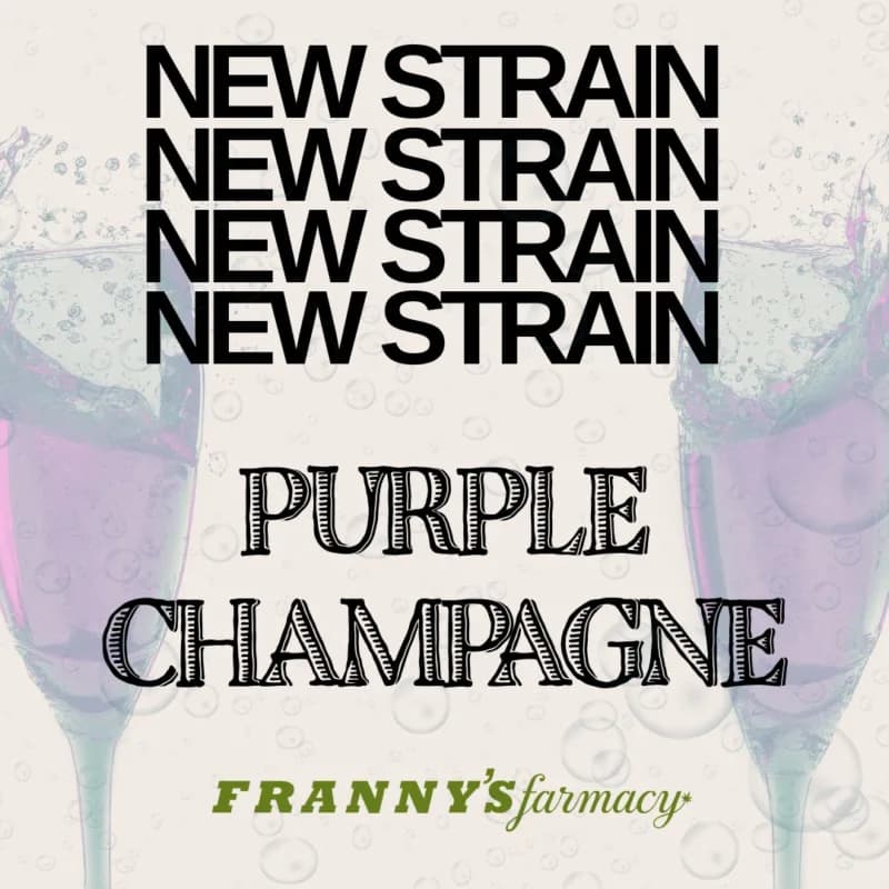 Purple Champagne (Sativa | 23.2%)