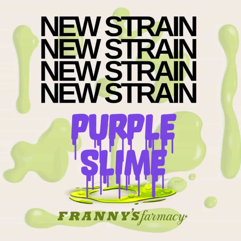 Purple Slime THCa Flower – Premium Indica (31.18%)
