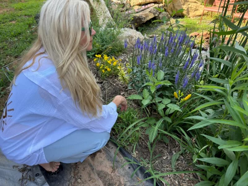 Honoring World Mental Health Day with Wellness from Franny’s Farmacy