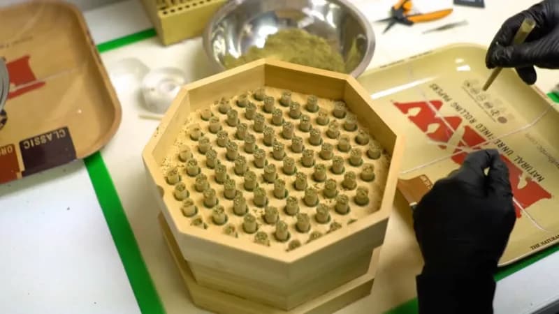 Making 76 Hemp CBD Franny's Grammys With Buddies Bump Box