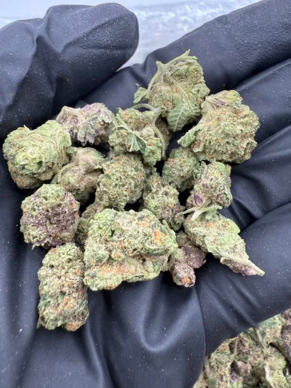 The Ritual of Relaxation — How THCa Flower Can Support Stress Relief