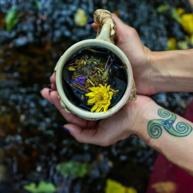 Inside the Botanical Division at Franny’s Farmacy: Where Plants Power Healing