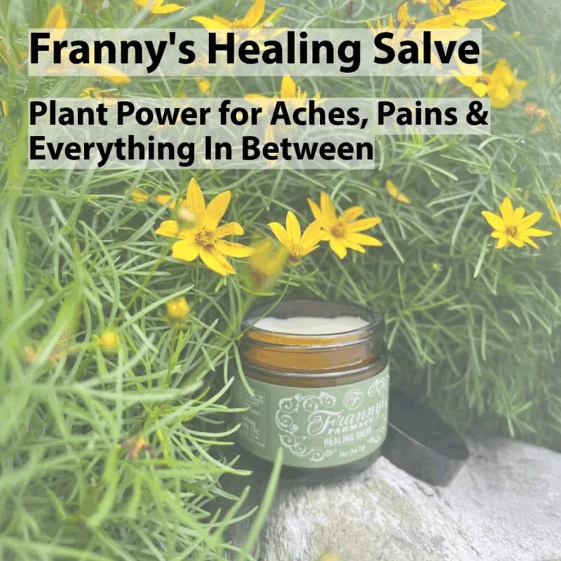 Pain Awareness Month with Franny’s Farmacy